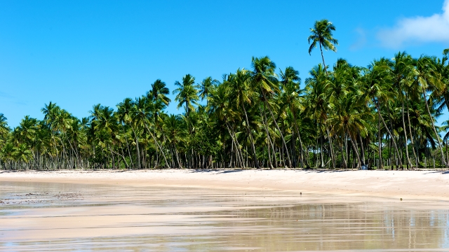 Morro de Sao Paulo Beach