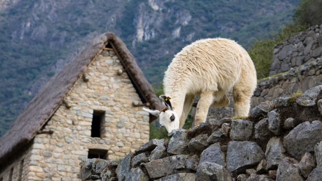 Inca Trail to Machu Picchu