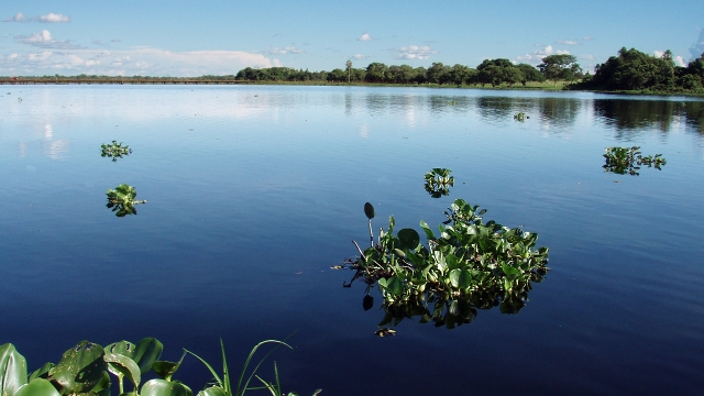 The Pantanal