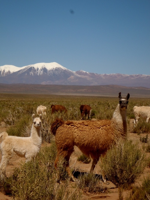 Salta, Argentina