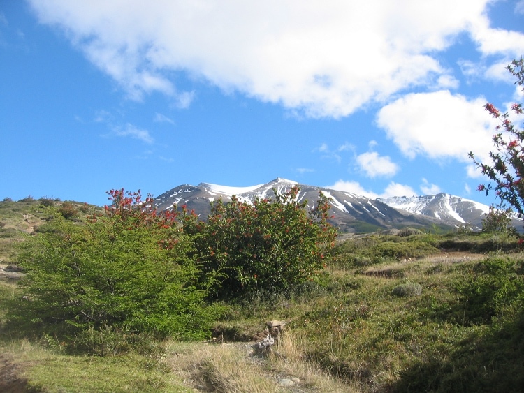 Susana in Patagonia