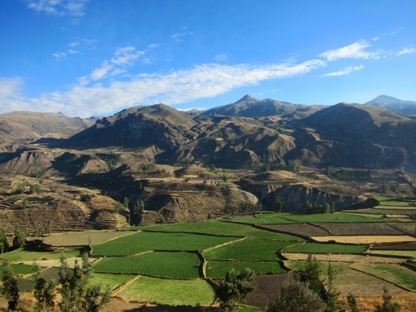 Colca Canyon Peru Trip