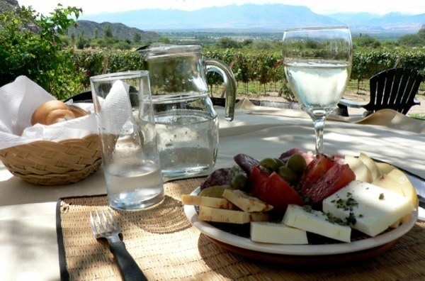 Best Wineries to Visit in Mendoza