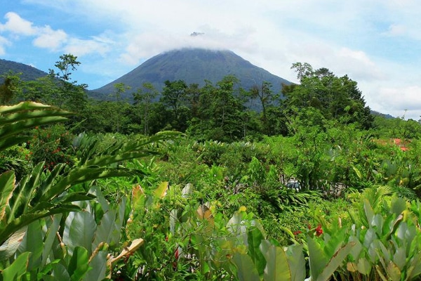 Arenal Volcano surrounding nature