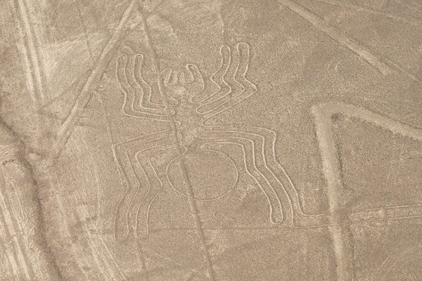 Nazca lines spider