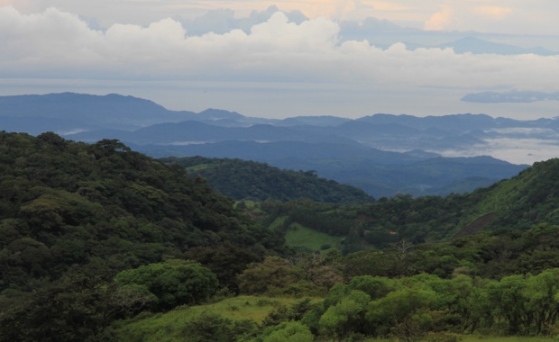 Monteverder Cloud Forest views