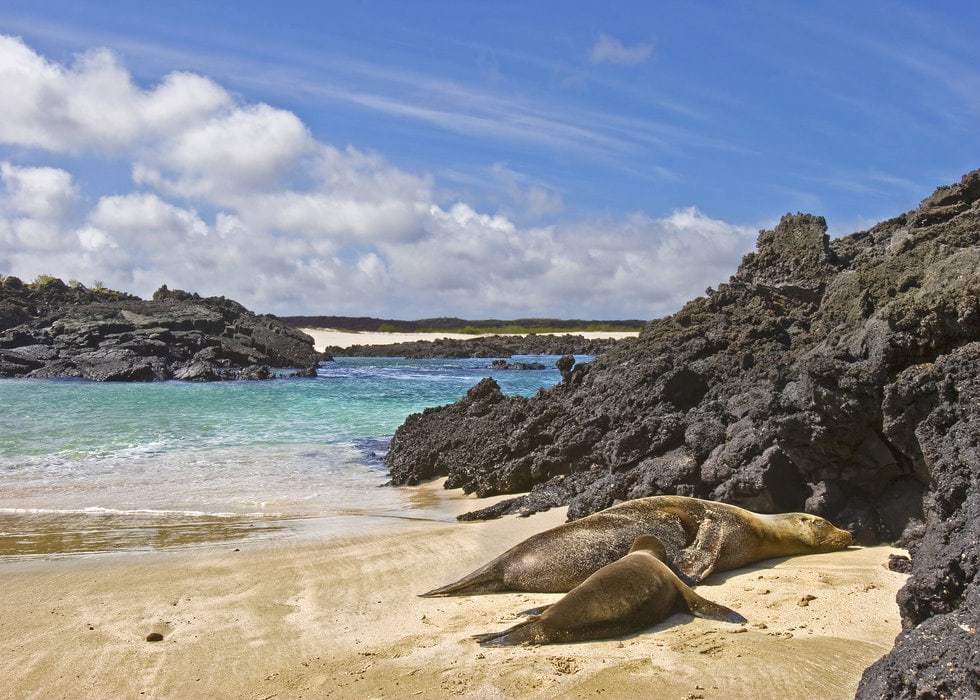 The Galapagos Islands