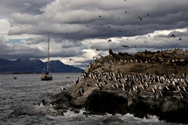 South America's Best Beaches for Wildlife