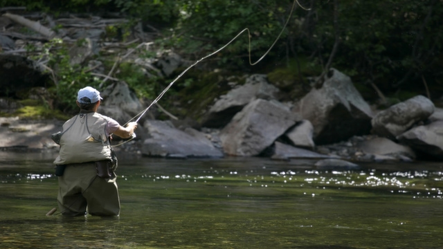 Fisherman Fly Fishing