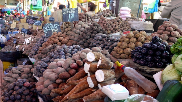 Just some of the many Peruvian potatoes at San Camilo Market