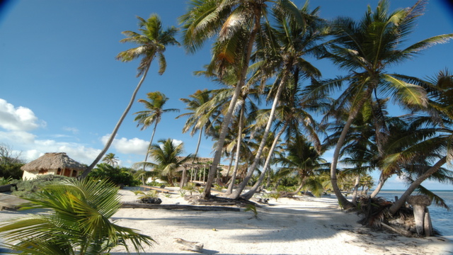 Ambergris Caye beach in Belize