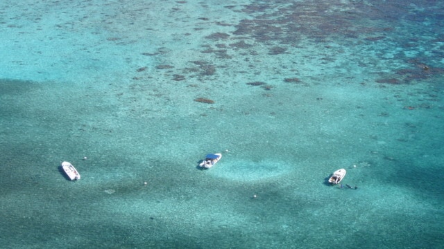 Hol Chan Marine Reserve in Ambergris Caye