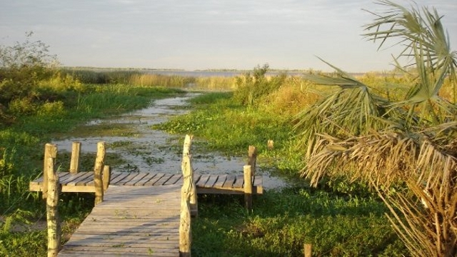 Exploring the Esteros del Ibera Wetlands