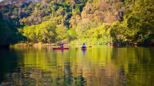 Kayaking through the Jungle in Nicoya Peninsula