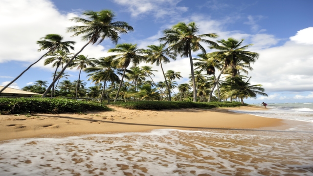 Praia do Forte beach, Brazil