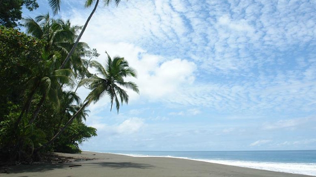 Tropical Beaches of Costa Rica