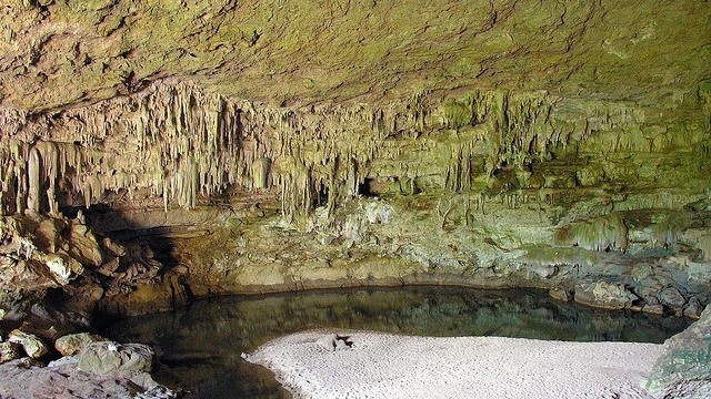 The stunning Rio Frio Caves