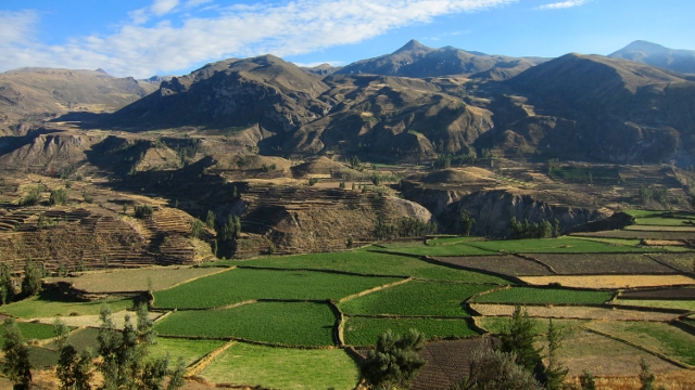 The Colca Valley