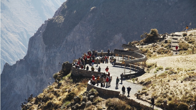 Cruz del Condor, Colca Canyon