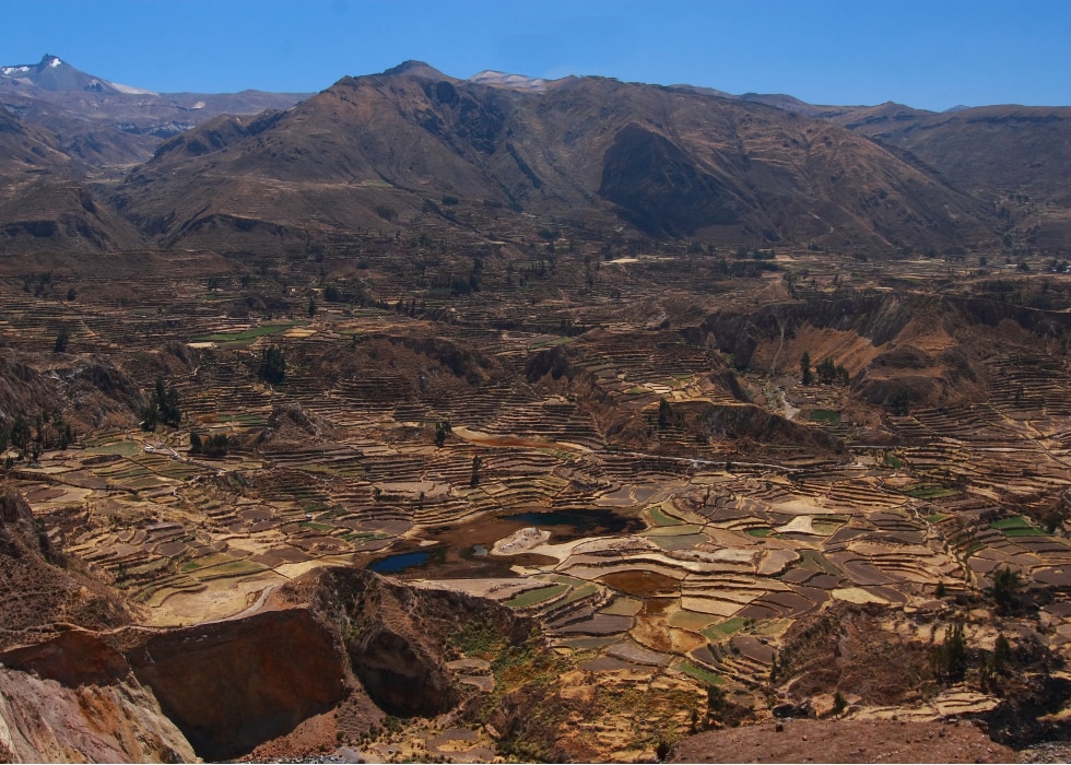 A Memorable Journey to the Colca Canyon