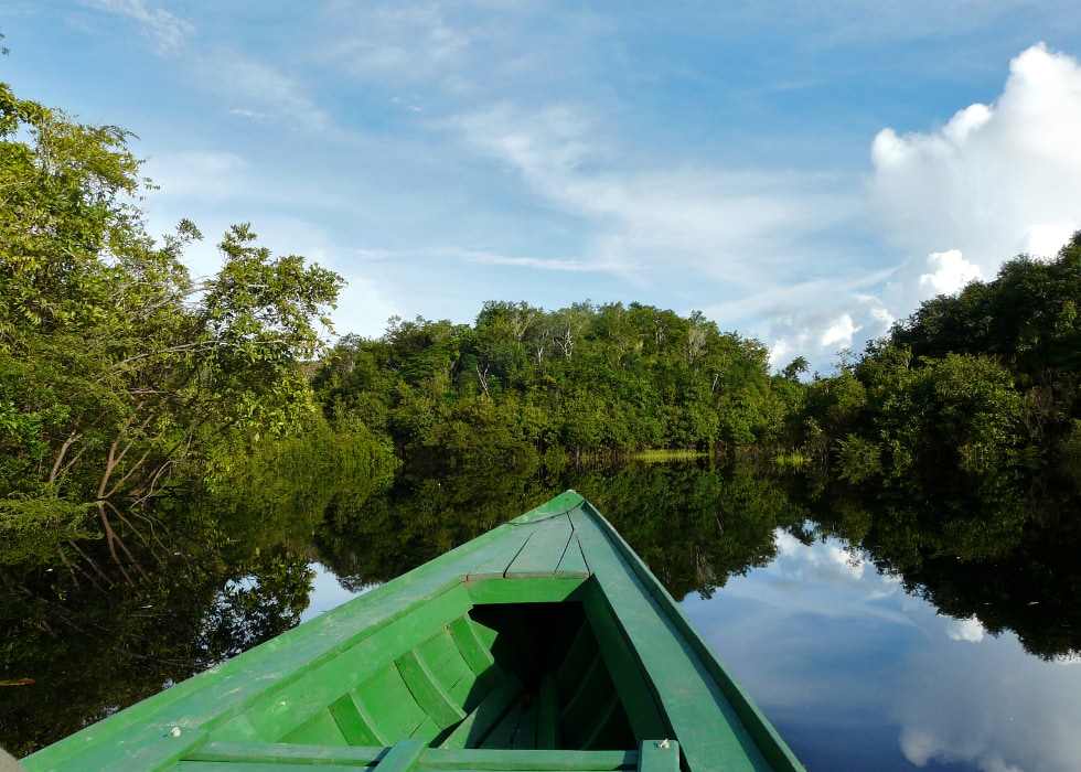 Top 5 Peruvian Amazon Traveler Delusions Blog