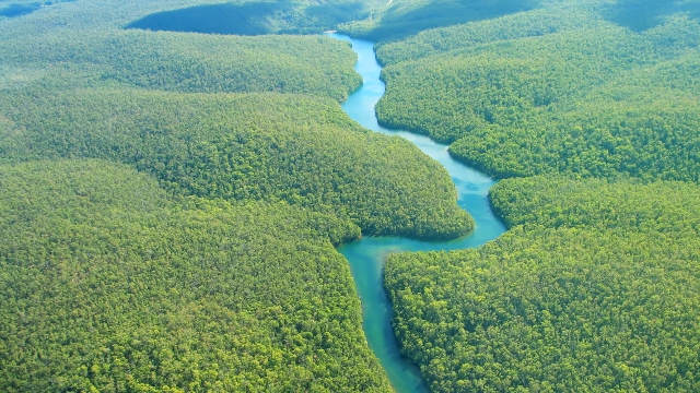 The Peruvian Amazon