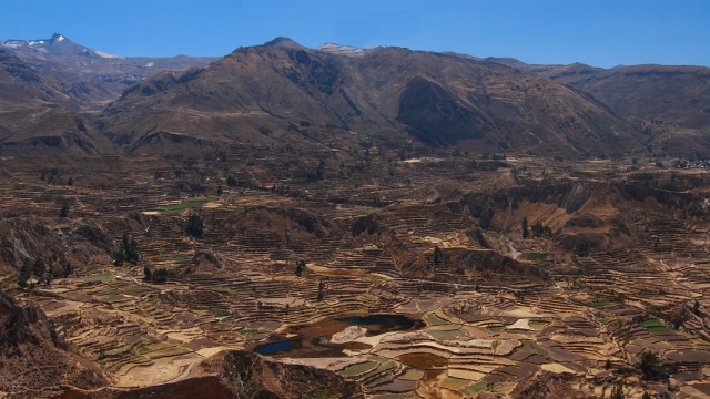 The Colca Canyon