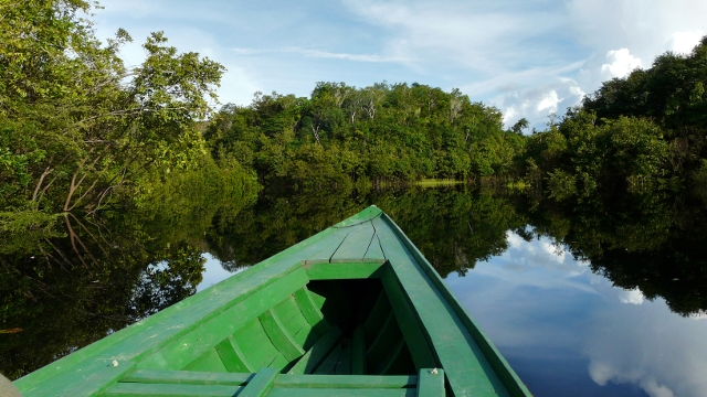 The Peruvian Amazon