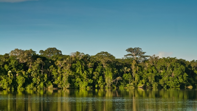 The Amazon in Peru