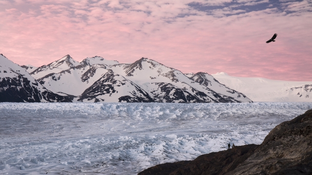 Torres del Paine Glaciers