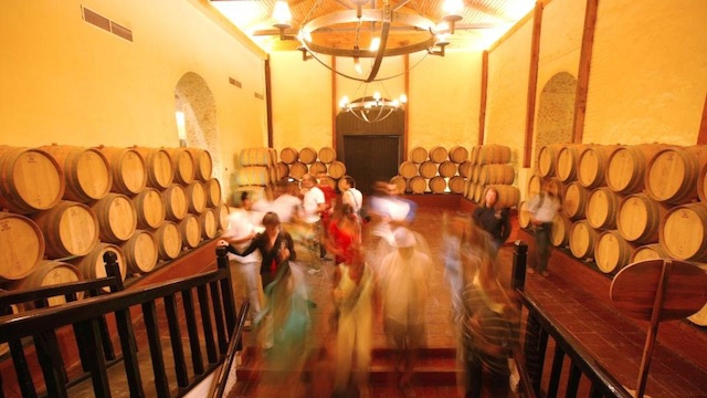 Concha y Toro Winery Chile