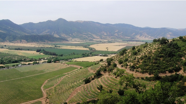 The Colchagua Wine Valley, Chile