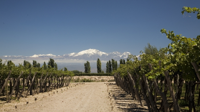 Familia Zuccardi Winery Mendoza