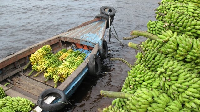 Brazilian Amazon food