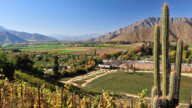 Viña Errázuriz in Chile's Aconcagua Valley