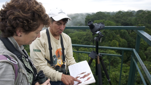 Bird Watching in Peru's Amazon
