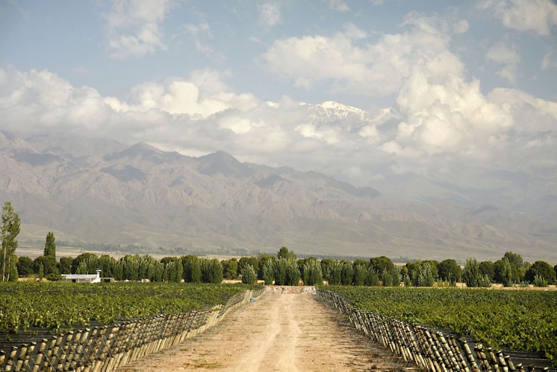 Stunning surroundings of the Zuccardi Winery in Altamira, Mendoza