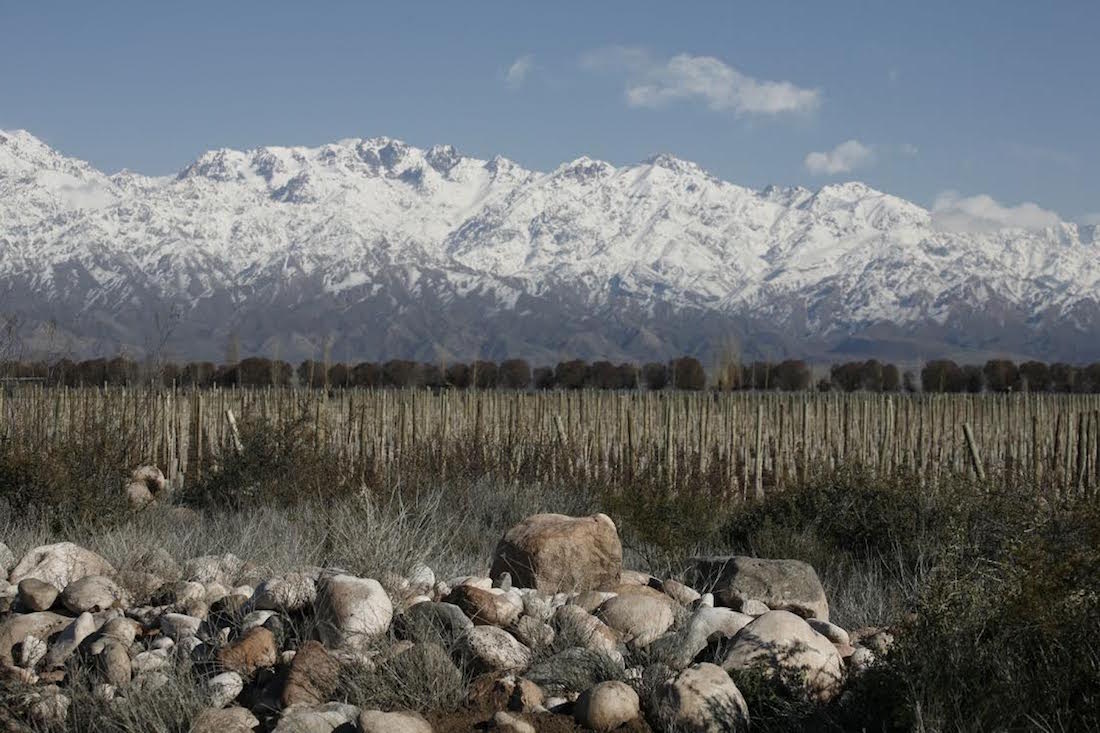 Zuccardi Winery in the Altamira micro region, Mendoza