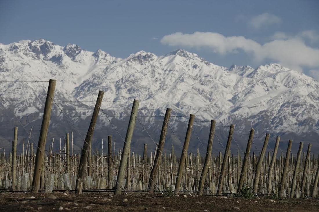 Scenic snow covered mountains overlook the Zuccardi Winery, Mendoza