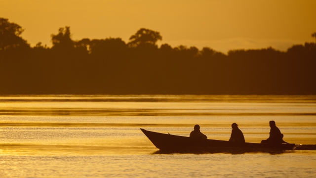 Exploring the rivers near Anavilhanas Lodge 