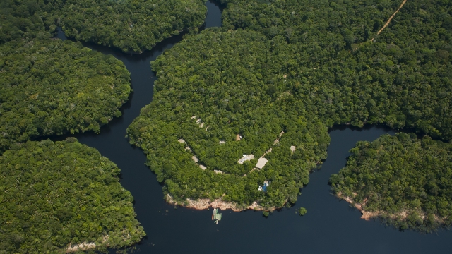 Anavilhanas Lodge aerial view