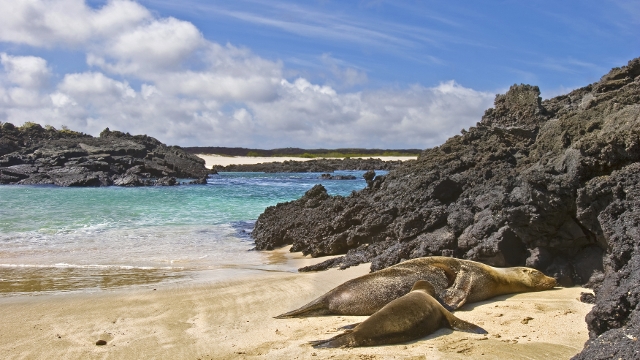 Luxury Galapagos Islands