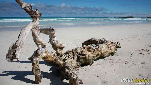 Galapagos Island beaches