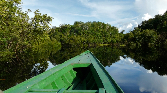 Brazilian Amazon