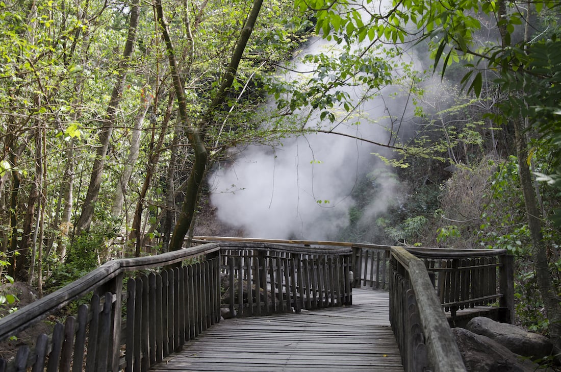 Rincon de la Vieja canopy