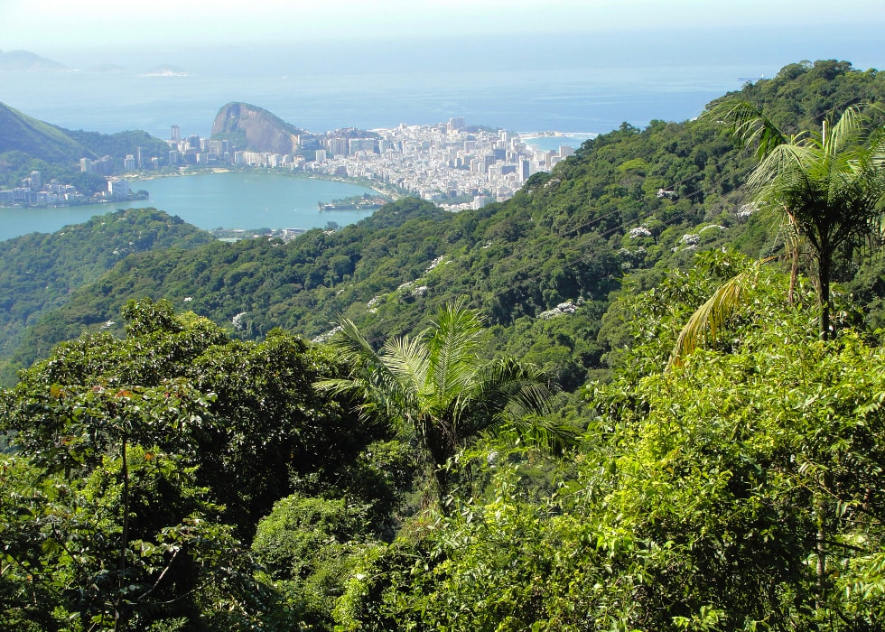 The Best Views from the Mountains of Rio de Janeiro