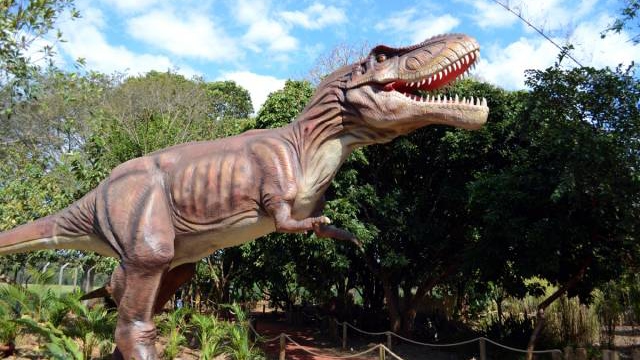 Valley of the Dinosaurs, Iguazu