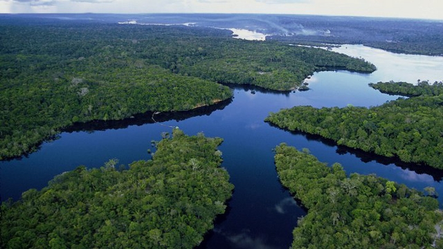 Brazilian Amazon Dry Season