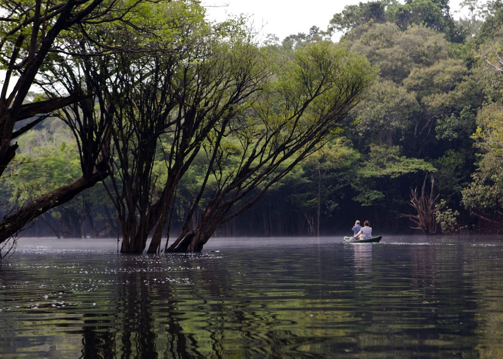 The Best Time to Travel to the Brazilian Amazon