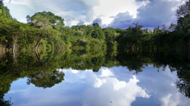 Brazilian Amazon wet season